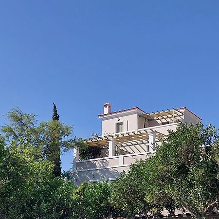 Saint Louis Andros Town Exterior foto