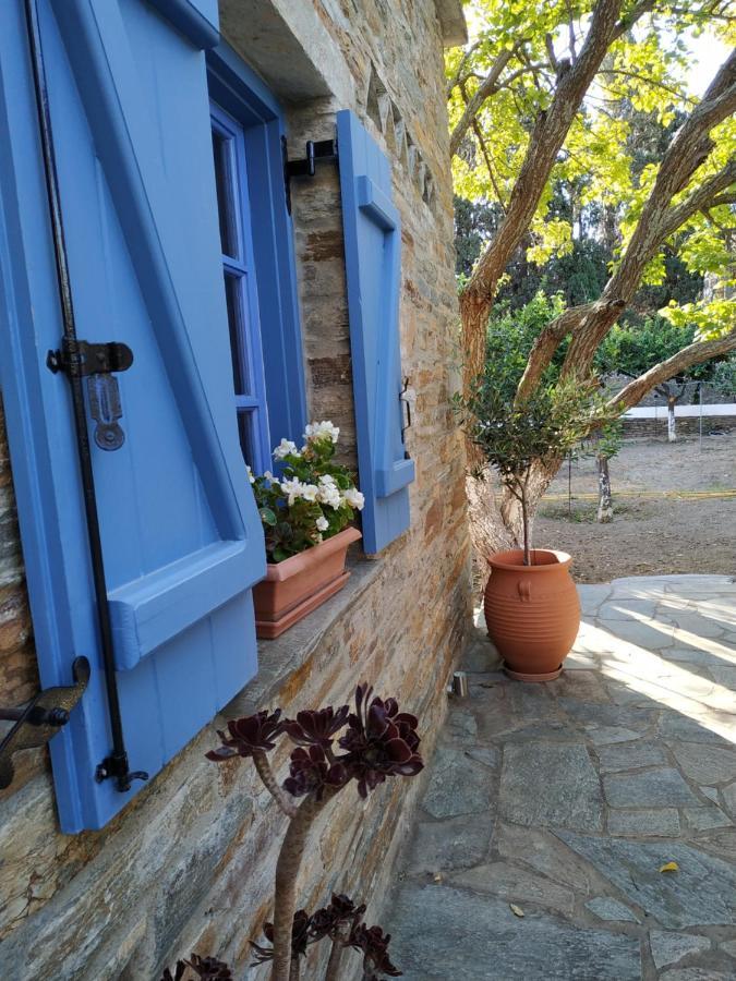 Saint Louis Andros Town Exterior foto